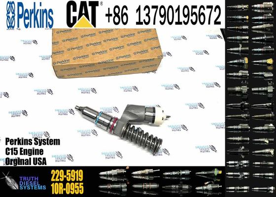 Excavator Parts 229-5919 Fuel Injector 229-5919 10R-1000 10R-1000 for CAT C18 C15 C12 C13 3406E Series