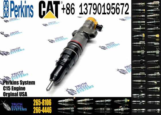 C9 HEUI Injector 258-8745 Diesel Fuel Injector 265-8106 293-4074 for Caterpillar Excavator C9 Engine Parts