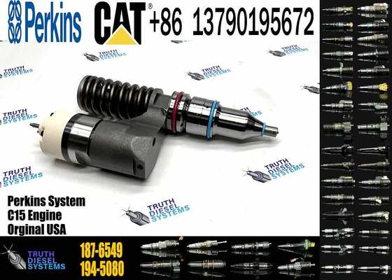 Cat Injector C12 C10 Injector 187-6549 170-5252 350-7555 203-7685 20r-0056 10r-0967 for 345B Excavator Spare Parts