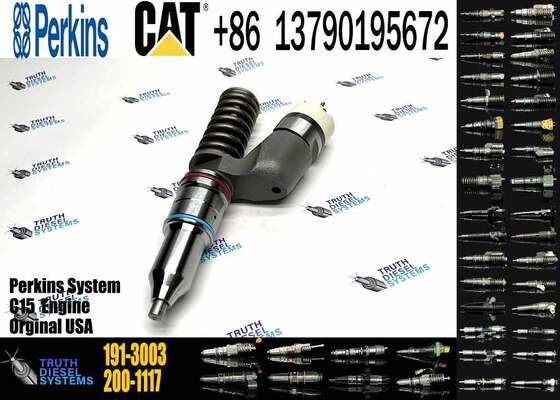 Hot Sale 191-3003 Common Rail Injector C15 diesel Injector for Fuel Injection Pump for CAT diesel Engine