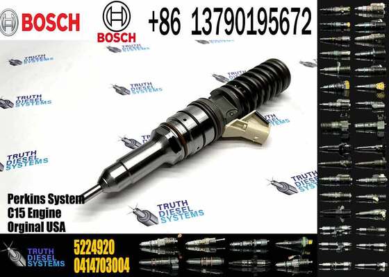 Hot Sell Common Rail Fuel Injector 0414703003 0414703005 0414703007 5224920