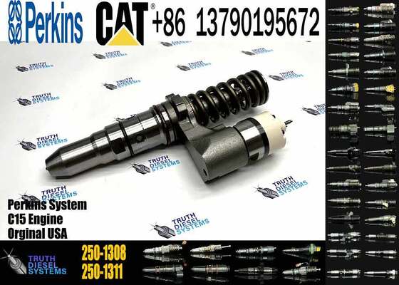 Excavator Spare Parts 3512B Diesel Fuel Injector 250-1308 196-5802 10R-1280