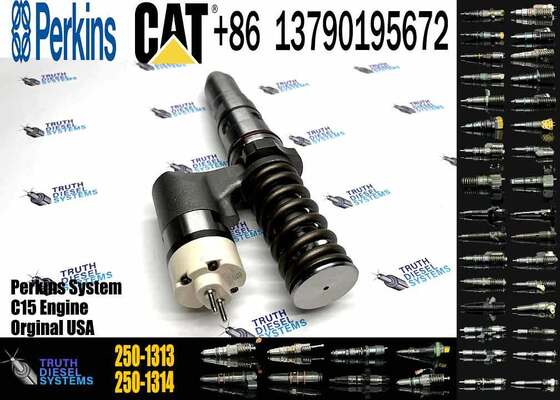 High Quality Diesel Fuel Injector Common Rail Injector 20R-0849 250-1313 246-1854 250-1302 for Excavator